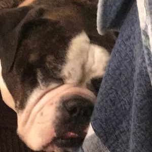 Meet your Posher, Lana